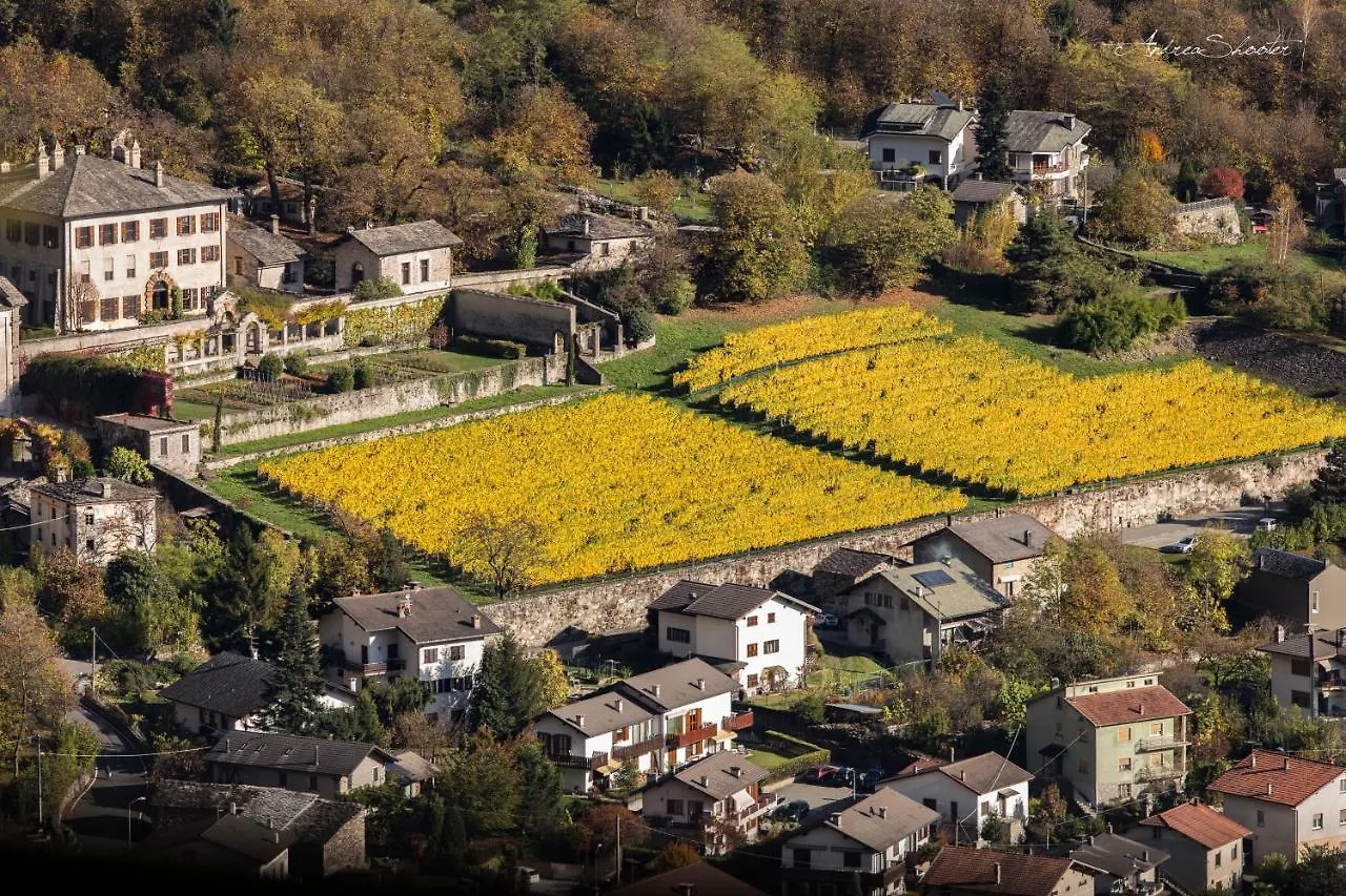 Ca Bregaglia - Appartamenti Per Vacanze Prosto di Piuro 0*,